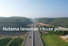 Tak Hanya Bangun Tol di Sumatera, Hutama Konsisten Tanam Ribuan Pohon