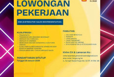 KABAR BARU! Peluang Karier di Sektor Penjualan: Menjadi Distributor Sales Representative di HK Mandiri