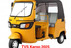 TVS Kargo 2025 Hadir dengan Harga Terjangkau, Cocok untuk Pelaku UMKM