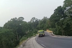 Belum Sebulan Sudah 3 Laka di Tebing Batu Manulla TNBBS, Pengendara Diingatkan Waspada !