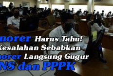 Honorer Harus Tahu! Ini Kesalahan Sebabkan Honorer Langsung Gugur CPNS dan PPPK