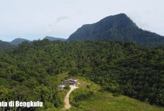 Ini Dia Wisata Incaran di Bengkulu Buat Tahun Baru 2026, Menarik, Terbaik dan Asri