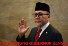 Duduki Jabatan Menko Pangan, Kakak Kandung Gubernur Bengkulu Miliki Kekayaan Rp 49 M