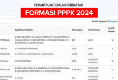 Dibuka 605 Instansi, Berikut Rincian Formasi PPPK 2024 Lengkap