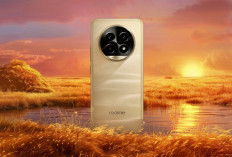 Realme 13 Pro 5G Kamera 50MP OIS, Berikut Pertanyaan Sering Muncul 