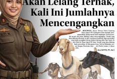 Satpol PP Kembali Akan Lelang Ternak, Kali Ini Jumlahnya Mencengangkan