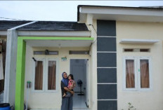 WAW! Menteri PKP Siapkan 100 Rumah Subsidi DP Gratis Bagi Sopir Bagi UMKM, Cek Penjelasannya!