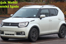 Terkenal Kompak dan Sporty, segini Pajak Mobil Suzuki Ignis!