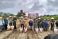 Kapolres Kaur Bersama Forkopimda Tanam Jagung Serentak, Menuju Swasembada Pangan 