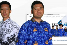 Taukah Anda! Berikut Daftar Instansi dengan Formasi Terbesar PPPK 2024