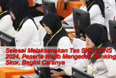 Selesai Melaksanakan Tes SKD CPNS 2024, Peserta Wajib Mengecek Ranking Skor, Begini Caranya