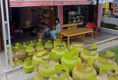 Langka di Luar Daerah, Gas   Melon di Kaur Tengah Aman