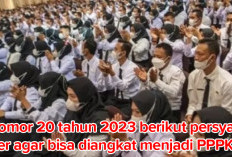 Berdasarkan UU Nomor 20 tahun 2023, Berikut Persyaratan Honorer Agar Diangkat Menjadi PPPK 2024