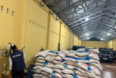 Mafia Pupuk Subsidi Terbongkar, Satu Warga Kaur Ditangkap, Ini Modusnya