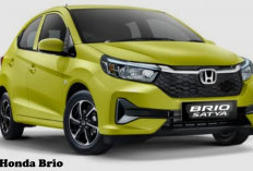 Tips Mengemudi dan Starter Mobil Honda Brio yang Benar, Yuk Intip Caranya di Sini!