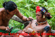 Menyambut Upacara Adat di Suku Mentawai, Orang Dewasa Buat Tato, Simak Maknanya