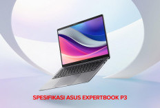 Yuk Cek Spesifkasi ASUS ExpertBook P3,  Laptop Tangguh dengan Baterai Awet!