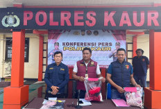 Kasus Pencabul4n di Kaur Panas, Karena Satu   Diduga Pelaku Bebas, Begini Penjelasan Lengkapnya!