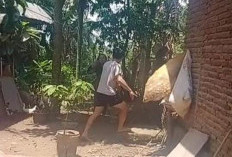 Terlibat Skandal Perselingkuhan, 2 Oknum  Guru SD Bengkulu Selatan Terancam Dipecat! 