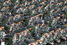 Resmi Naik! Intip Besaran Gaji TNI Bulan Mei 2024, dari Tamtama Sampai Perwira Tinggi 