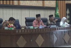 Bengkulu Dapat 11 Sapi Kurban Presiden Prabowo