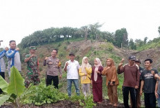 Program Tanam Jagung Satu Desa  Satu Hektare Segera Dilakukan