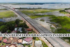 Daftar Progres Terbaru di Ruas Tol Trans Sumatera, Pekerjaan  Selesai Tahun 2024