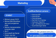 Punya Bakat Dibagian Marketing? PT BPR Mindosari Cabang Kaur Buka Lowongan Pekerjaan, Lamar di Sini!
