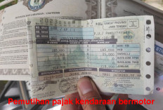 21 Provinsi Ini Adakan Pemutihan Pajak Kendaraan Bermotor Hingga Akhir Tahun! Bengkulu Termasuk Nggak Ya?