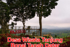 Desa Wisata Tanjung Bonai Tanah Datar  Miliki Daya Tarik Tersendiri, Simak di Sini