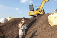 Cangkang Sawit Aceh Kini   Mulai Diekspor ke Jepang 