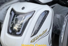 Honda Genio Motor Matic Irit BBM, Sangat Cocok untuk Anak Muda yang Aktif dan Dinamis