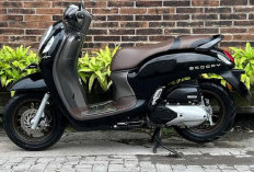 Sudah Tahu Belum? Walau Idaman Berbagai Kalangan, Ternyata Ini Permasalahan Motor Matic Honda Scoopy Prestige!