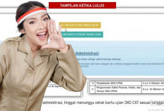 Pendaftaran CPNS 2024 Resmi Ditutup, Berikut Tanda Peserta Lulus Seleksi Administrasi