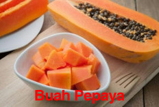 Jarang Diketahui, Mengonsumsi Buah Pepaya Ternyata Melindungi Hati dari Penyakit