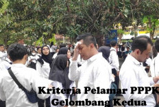 Sebelum Pendaftaran PPPK Gelombang Kedua Dibuka, Intip Kriteria Pelamar yang Bisa Mendaftar