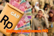 Bukan Hanya Gaji Pokok, Ini 6 Tunjangan Untuk Semua PNS