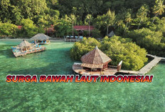 Pesona Surga Bawah Laut! Inilah Destinasi Wisata Bahari di Indonesia yang Menakjubkan!