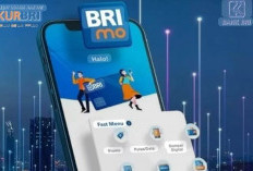 KUR BRI Dua Jenis, Berikut Cara Mengajukan dan Syarat Pengajuan 