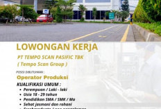 Lowongan Kerja Terbaru PT Tempo Scan Pacific Buka 3 Posisi, SMA/SMK dan S1 Bisa Daftar Yuk Cek