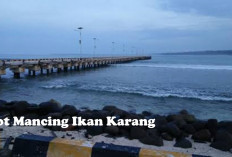 Pantai Lentera di Kaur, Surga Tersembunyi Bagi Para Pecinta Mancing Ikan Karang