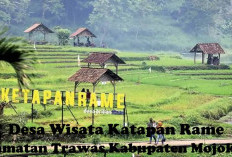 Tak Butuh DD! Omset Desa Wisata ini Capai 3,5 Miliar