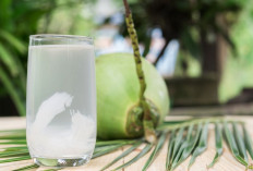 Tak Hanya Enak dan Segar, Air Kelapa Punya Sejuta Manfaat untuk Kulit