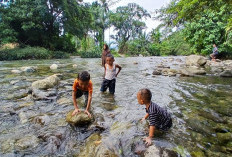 Investor Siap Dirikan Pabrik AMDK, Bengkulu Selatan Siap Jadi Sentra Air Minum Baru