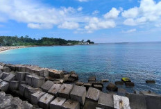 Pemdes Linau Kembali Izinkan Wisatawan Melakukan Aktivitas Snorkeling Hingga Diving