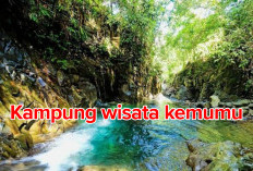 Kemumu Juara 1 Lomba Desa Wisata Bengkulu   2024, Intip Keindahan Kampung Wisata Ini 