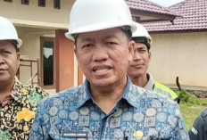 WOW! Pembangunan Sekolah Rakyat Telan Dana Fantastis, Sumber APBN, Yuk Kepoin di Sini 