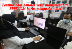 Honorer Mendaftar PPPK 2024 Harus Menguasai Materi, Simak Jenis Materi yang Disiapkan 