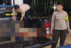 Adu Kambing Mobil Pick Up Vs Motor Beat, Pasutri Asal Pino Raya Jadi Korban, Suami Meninggal di TKP
