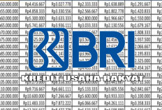 KUR BRI 2025 Pinjaman Rp 15 Juta, Cicilan Super Ringan Nggak Bikin Kantong Jebol!